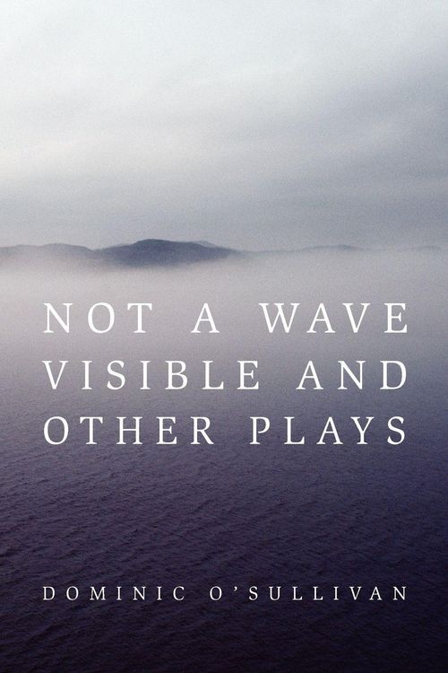 Produktbild: Not a Wave Visible and other plays
