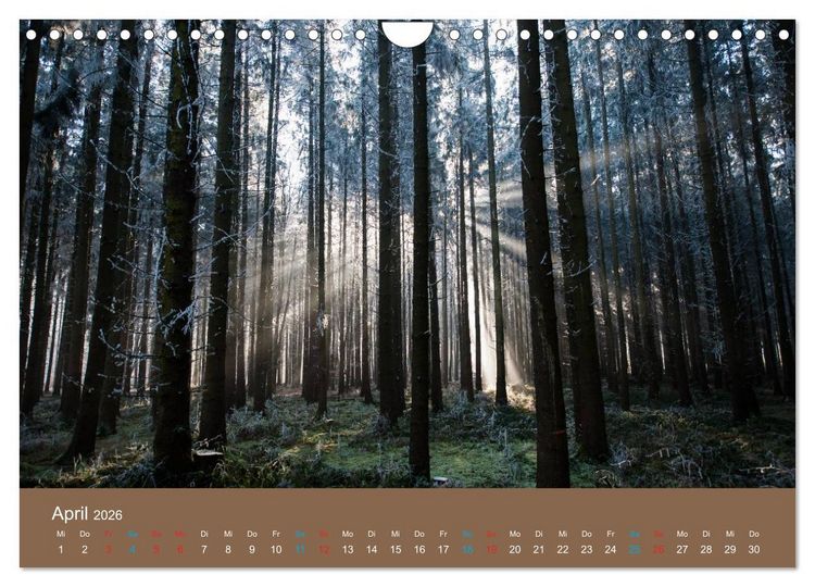 Produktbild: Fasziantion Natur (Wandkalender 2026 DIN A4 quer), CALVENDO Monatskalender