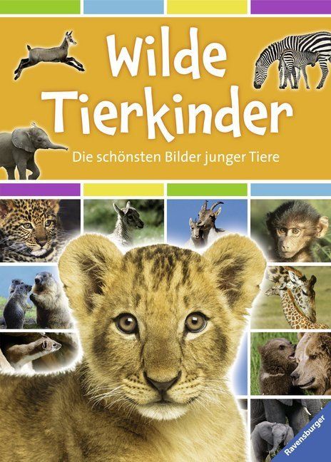 Produktbild: Mayo, C: Wilde Tierkinder