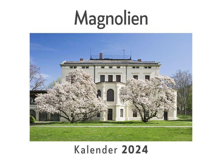 Produktbild: Magnolien (Wandkalender 2024, Kalender DIN A4 quer, Monatskalender im Querformat mit Kalendarium, Das perfekte Geschenk)