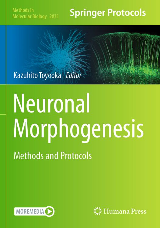 Produktbild: Neuronal Morphogenesis