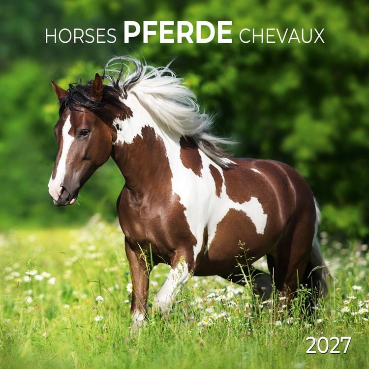 Produktbild: Pferde / Horses 2027