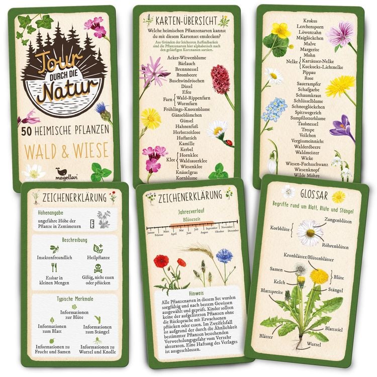 Tour durch die Natur 50 heimische Pflanzen Wald & Wiese kaufen