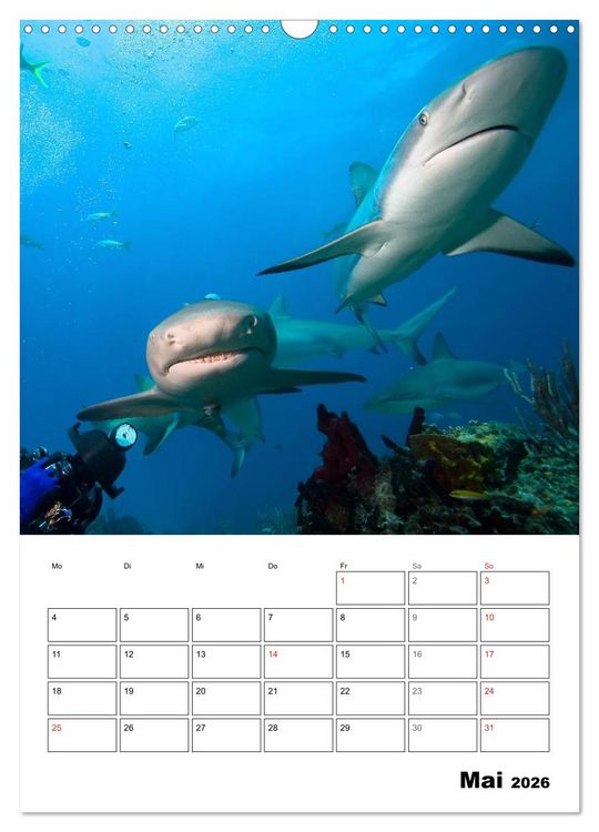 Produktbild: Tauchen - Abtauchen und Staunen (Wandkalender 2026 DIN A3 hoch), CALVENDO Monatskalender