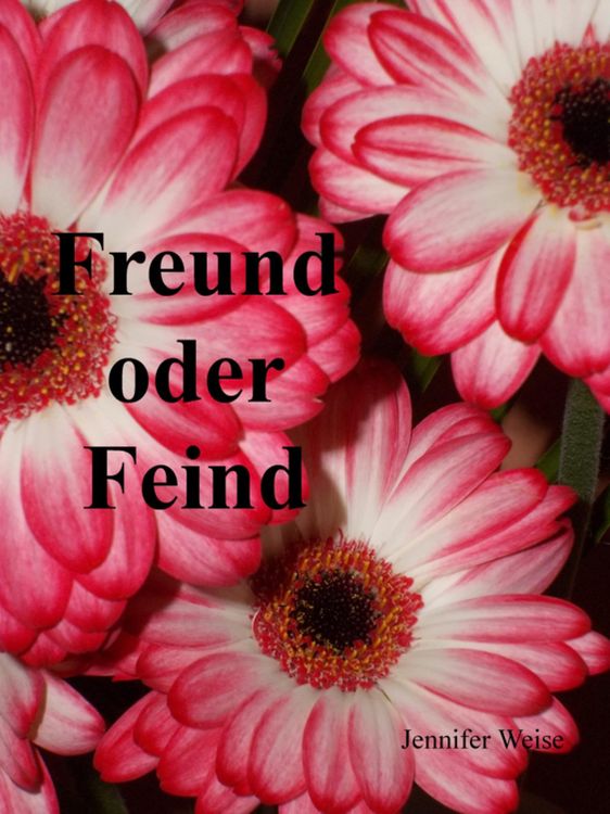 Produktbild: Freund oder Feind