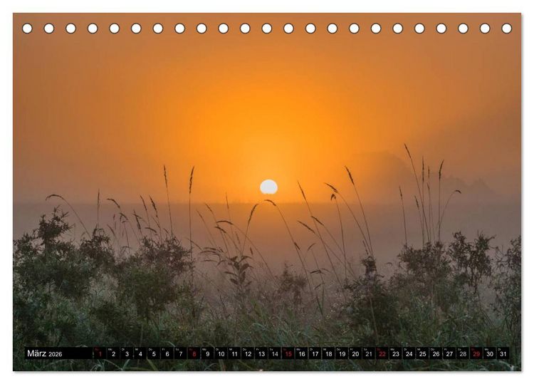 Produktbild: Immer wieder Sonnenschein (Tischkalender 2026 DIN A5 quer), CALVENDO Monatskalender