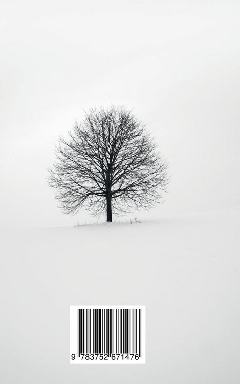 Produktbild: Rumis Blick
