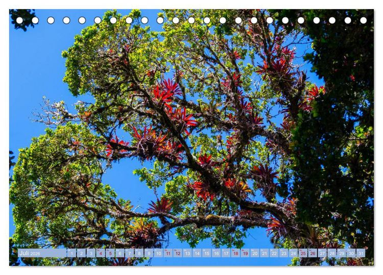 Produktbild: Farbenfrohes Costa Rica (Tischkalender 2026 DIN A5 quer), CALVENDO Monatskalender