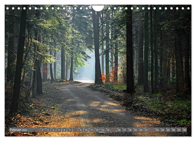 Produktbild: Schwarzwald-Wanderungen (Wandkalender 2026 DIN A4 quer), CALVENDO Monatskalender