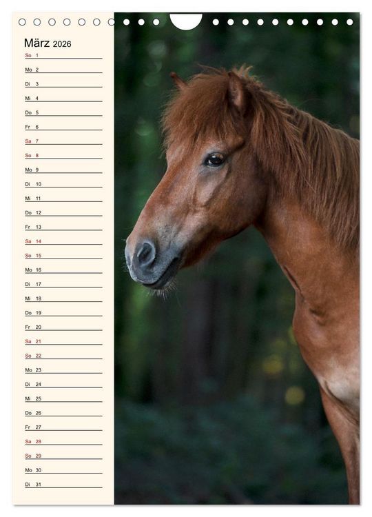 Produktbild: Isl&auml;nder Geburtstagskalender (Wandkalender 2026 DIN A4 hoch), CALVENDO Monatskalender