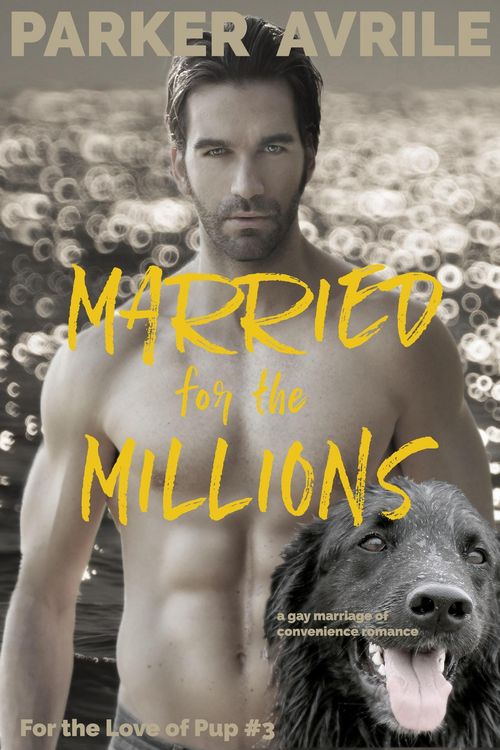 Produktbild: Married for the Millions