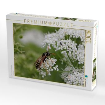 Produktbild: CALVENDO Puzzle Gallische Feldwespe auf Giersch | 1000 Teile Lege-Gr&ouml;&szlig;e 64x48cm Foto-Puzzle f&uuml;r gl&uuml;ckliche Stunden