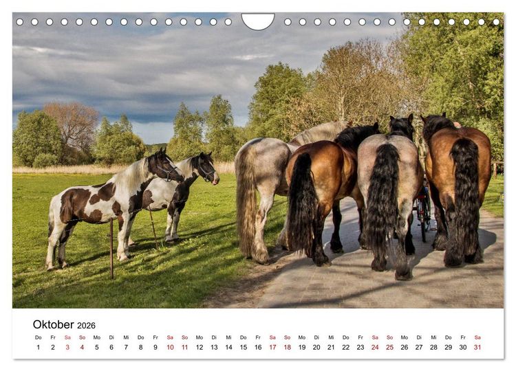 Produktbild: Ein Tag auf der Insel Hiddensee (Wandkalender 2026 DIN A4 quer), CALVENDO Monatskalender