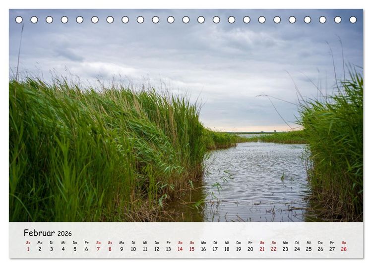 Produktbild: Fischland-Dar&szlig;-Zingst - Zwischen Bodden und Ostsee (Tischkalender 2026 DIN A5 quer), CALVENDO Monatskalender