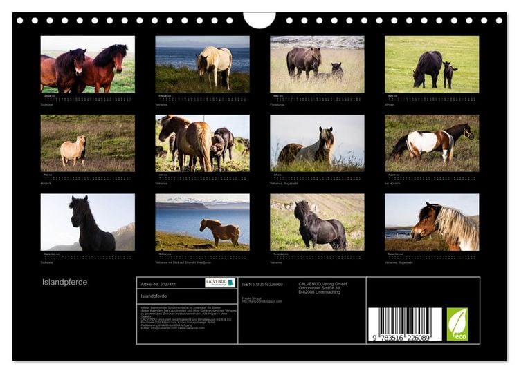 Produktbild: Islandpferde (Wandkalender 2026 DIN A4 quer), CALVENDO Monatskalender