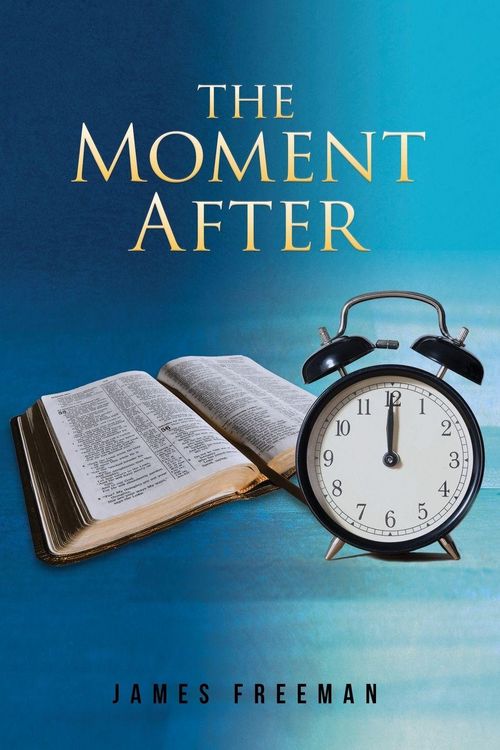 Produktbild: The Moment After