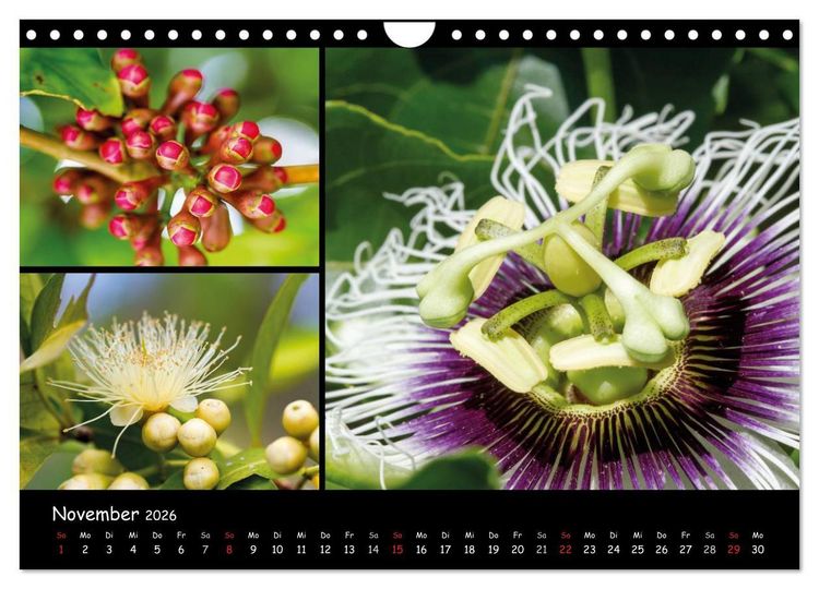 Produktbild: Dominikanische Republik Land & Leute (Wandkalender 2026 DIN A4 quer), CALVENDO Monatskalender