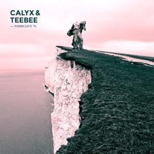 Produktbild: FABRICLIVE 76: Calyx & TeeBee
