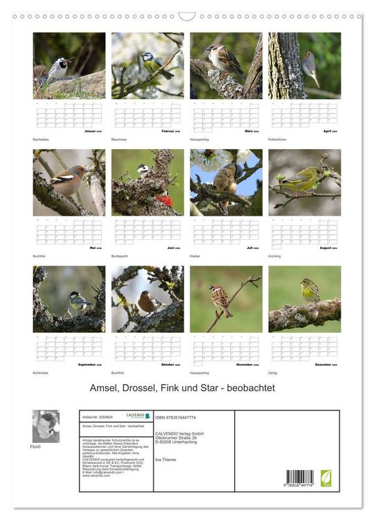 Produktbild: Amsel, Drossel, Fink und Star - beobachtet (Wandkalender 2026 DIN A2 hoch), CALVENDO Monatskalender