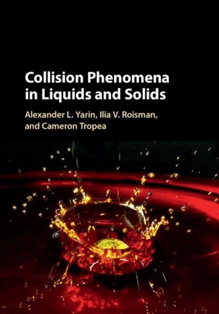 Produktbild: Collision Phenomena in Liquids and Solids