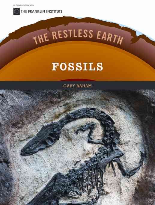 Produktbild: Restless Earth Fossils