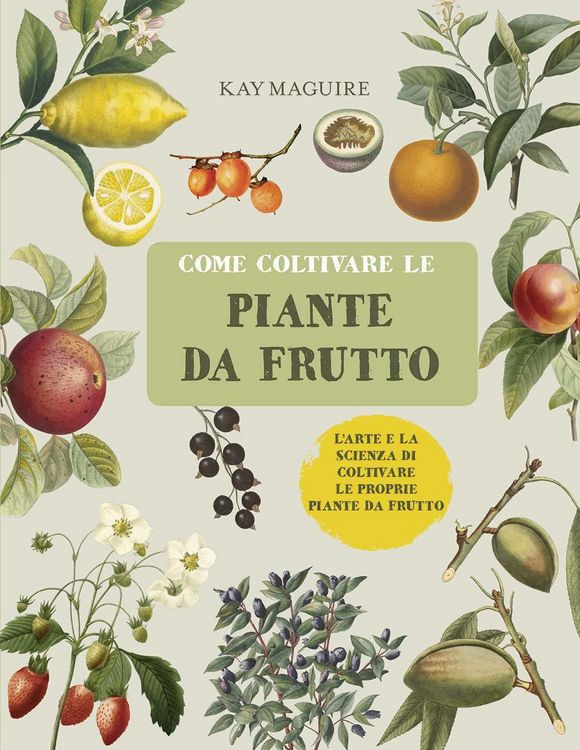 Produktbild: Come coltivare le piante da frutto