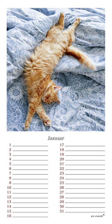 Produktbild: Geburtstagskalender Katzen