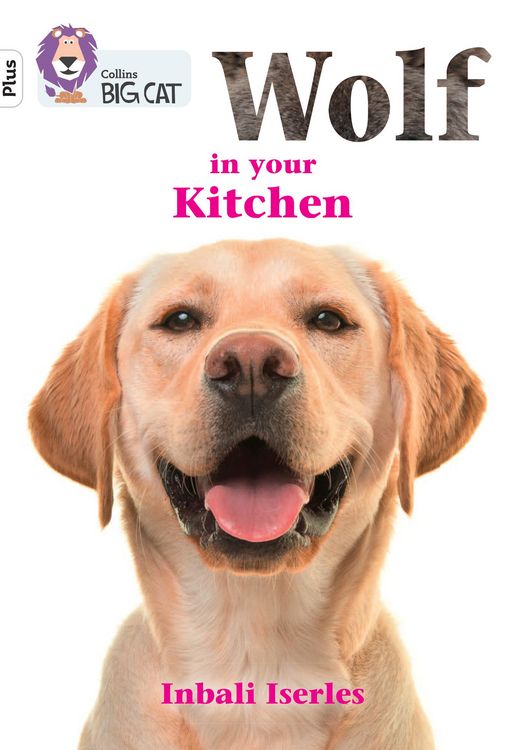 Produktbild: BIG CAT_WOLF IN YOUR KITCHEN