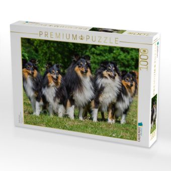 Produktbild: CALVENDO Puzzle Sheltie-Gruppe | 1000 Teile Lege-Gr&ouml;&szlig;e 64x48cm Foto-Puzzle f&uuml;r gl&uuml;ckliche Stunden