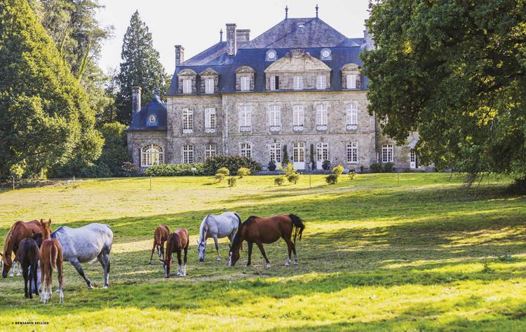 Produktbild: Destination Wellness - Unsere 35 besten Orte der Welt zum Entspannen
