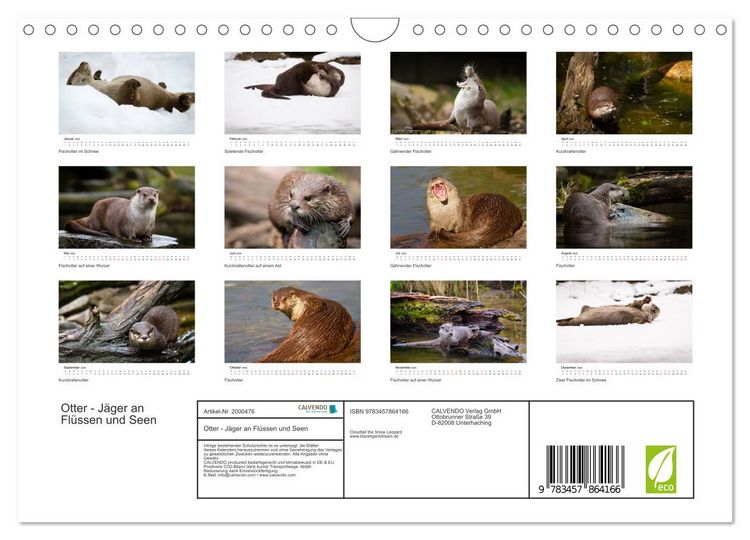 Produktbild: Otter - J&auml;ger an Fl&uuml;ssen und Seen (Wandkalender 2026 DIN A4 quer), CALVENDO Monatskalender