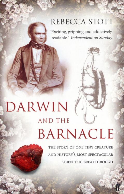 Produktbild: Darwin and the Barnacle