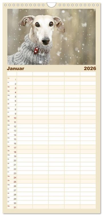 Produktbild: Familienplaner 2026 - Zauberhafte Windhunde mit 5 Spalten (Wandkalender, 21 x 45 cm) CALVENDO