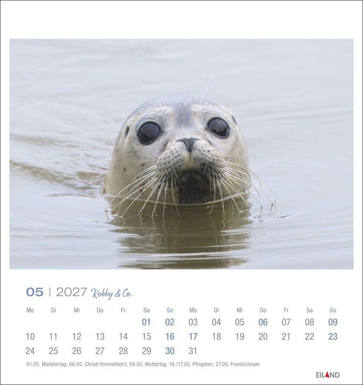 Produktbild: Robby & Co. Postkartenkalender 2027