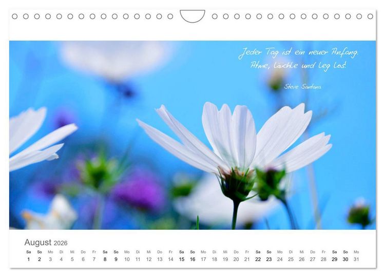 Produktbild: Rendezvous im Park (Wandkalender 2026 DIN A4 quer), CALVENDO Monatskalender