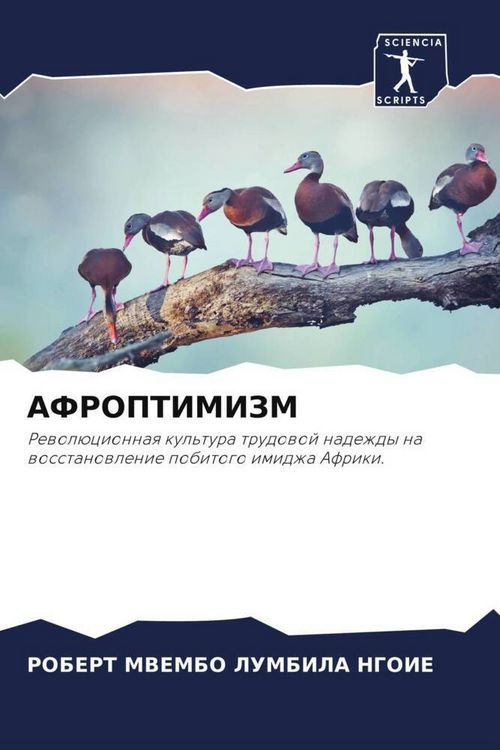 Produktbild: Afroptimizm