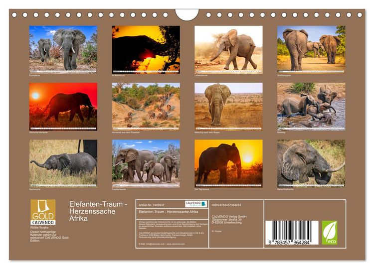 Produktbild: Elefanten-Traum - Herzenssache Afrika (Wandkalender 2026 DIN A4 quer), CALVENDO Monatskalender