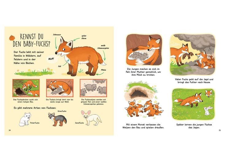 Produktbild: Kennst du die Tierkinder? - Sachbilderbuch f&uuml;r Kinder ab 3 Jahren