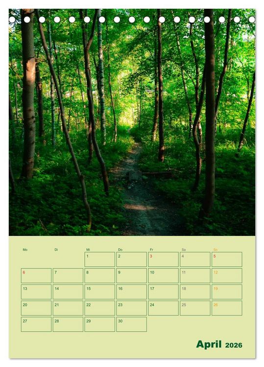 Produktbild: Wald- und Wiesenkalender 2026 Planer (Tischkalender 2026 DIN A5 hoch), CALVENDO Monatskalender