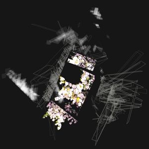 Produktbild: Capture & Release