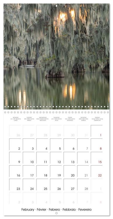 Produktbild: Mississippi Delta, Magic Swamps (Wall Calendar 2026 12 &times; 12 Inch) CALVENDO 12 Month Wall Calendar