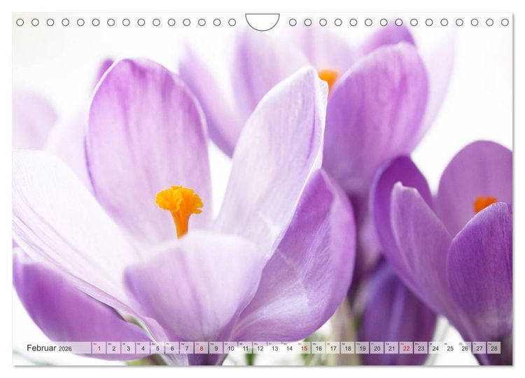 Produktbild: Blumenlust (Wandkalender 2026 DIN A4 quer), CALVENDO Monatskalender