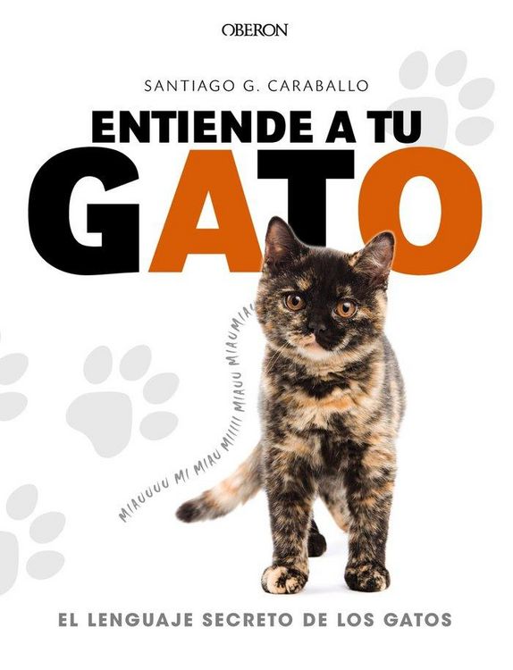 Produktbild: Entiende a tu gato : el lenguaje secreto de los gatos