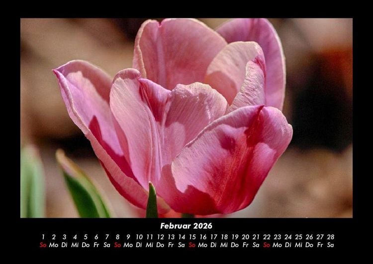 Produktbild: Blumenkalender 2026 Fotokalender DIN A3