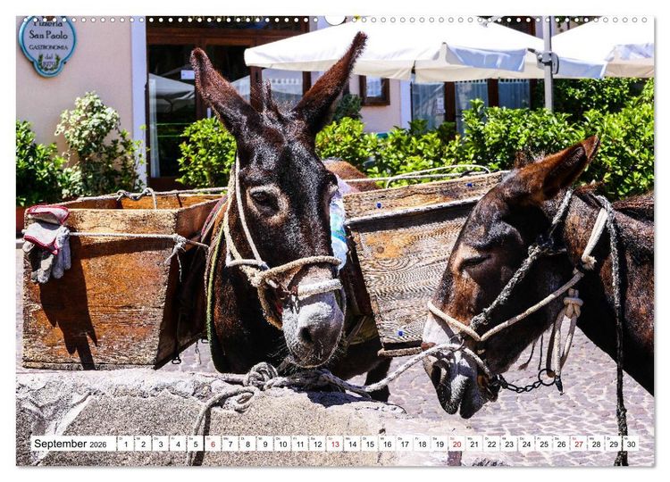 Produktbild: Sizilianische Urspr&uuml;nglichkeit Castelbuono (Wandkalender 2026 DIN A2 quer), CALVENDO Monatskalender