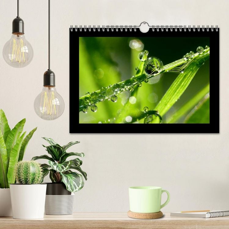Produktbild: Meine kleine gr&uuml;ne Wassertropfen Welt (Wandkalender 2026 DIN A4 quer), CALVENDO Monatskalender