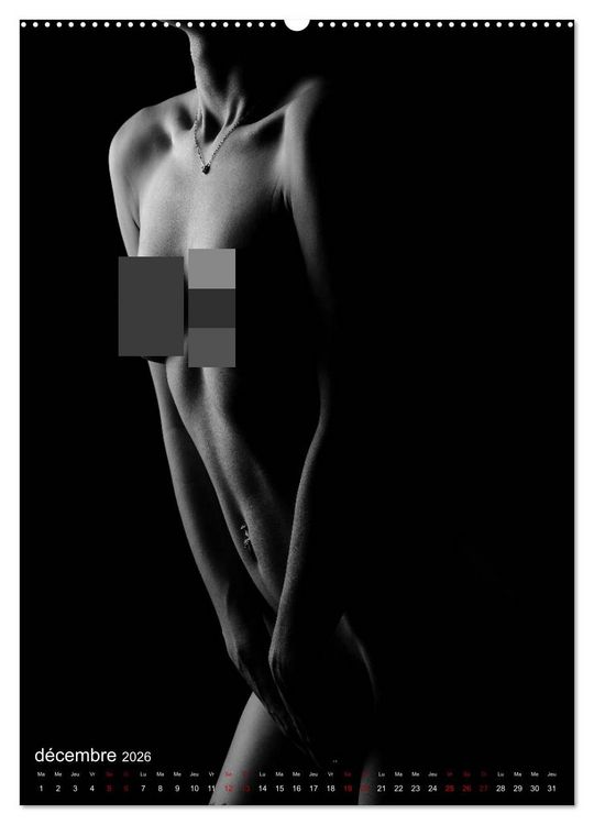 Produktbild: Apparat lumineux (Calendrier mural 2026 DIN A2 horizontal) calendrier de bureau