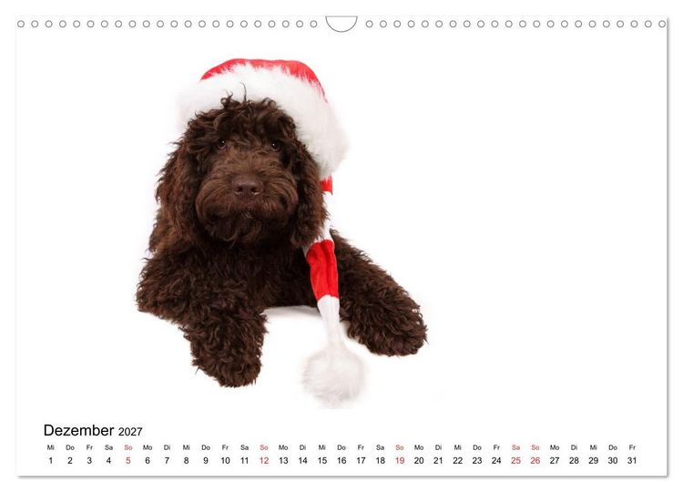 Produktbild: Funny Dogs (Wandkalender 2027 DIN A3 quer), CALVENDO Monatskalender