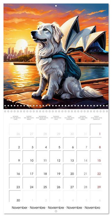 Produktbild: Cute pets discover the world (Wall Calendar 2026 12 &times; 12 Inch) CALVENDO 12 Month Wall Calendar