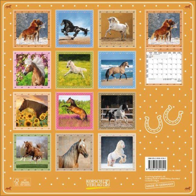 Produktbild: Pferdekalender 2027